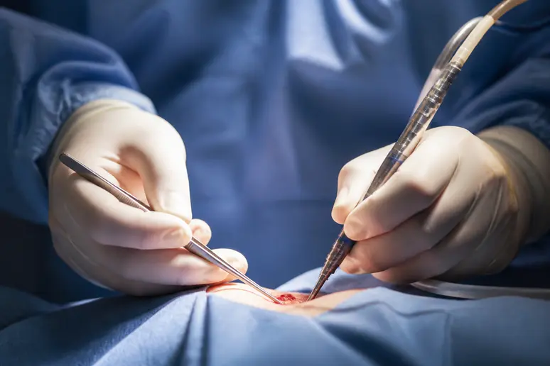 Mains d'une aide-soignante manipulant avec précision des instruments médicaux distincts selon la qualification.